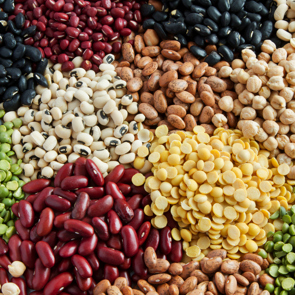 files/Beans_Lentils_Legumes1.png