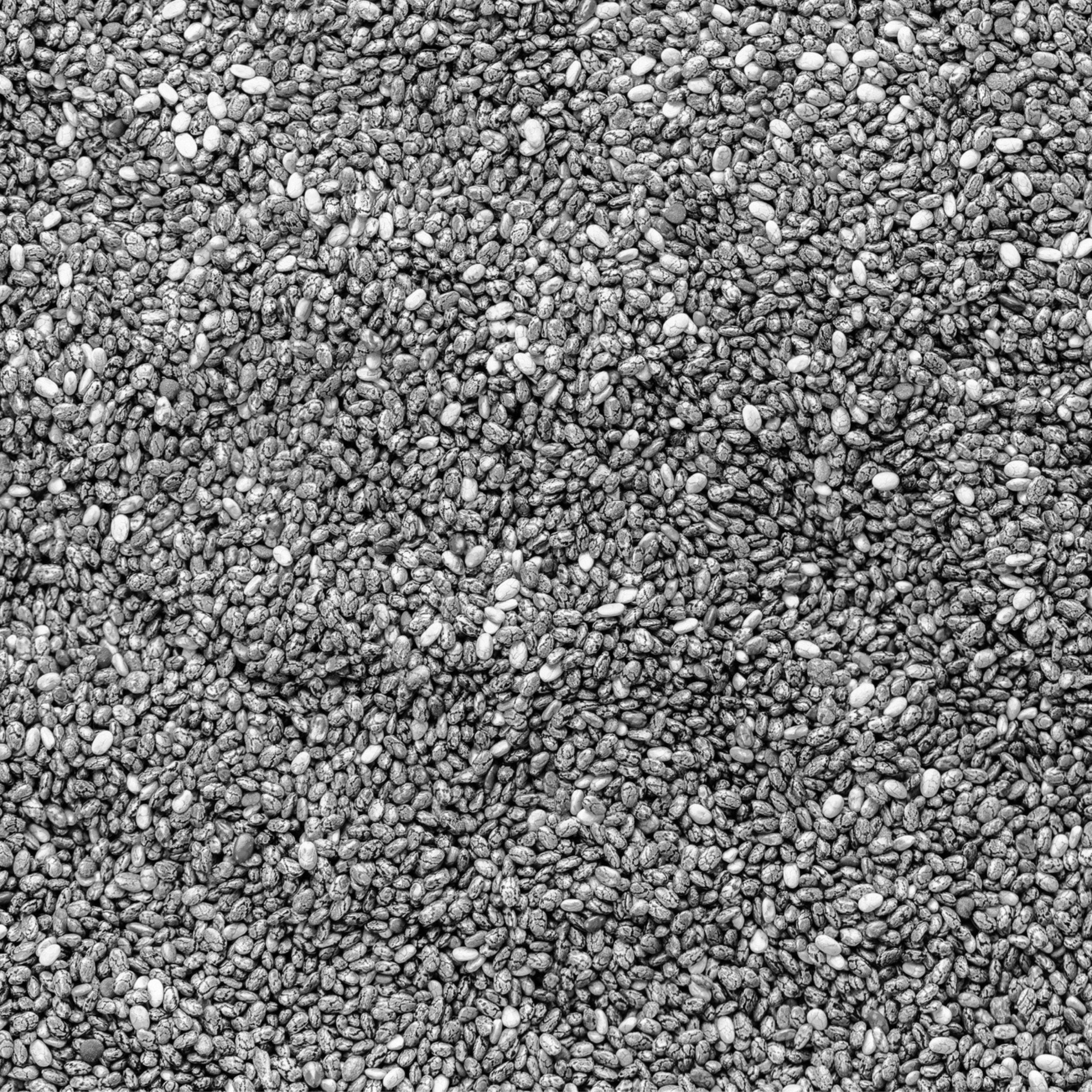 Additive Free Foods - Chia Seed Black Organic 500g