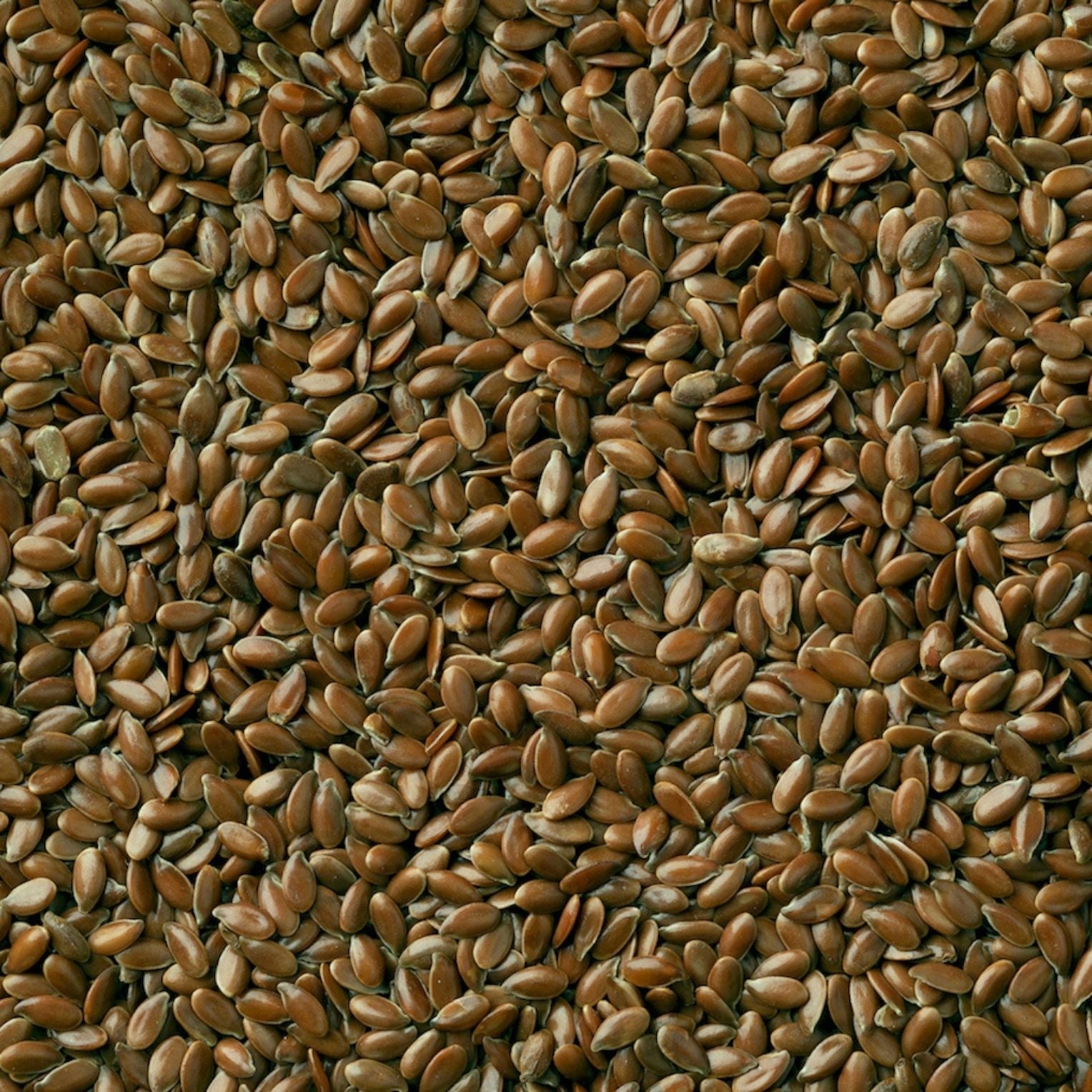 Additive Free Foods - Linseed Organic 500g